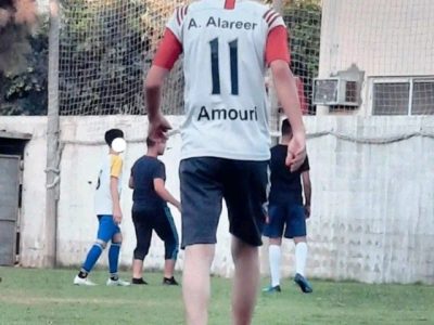 Amer alareer