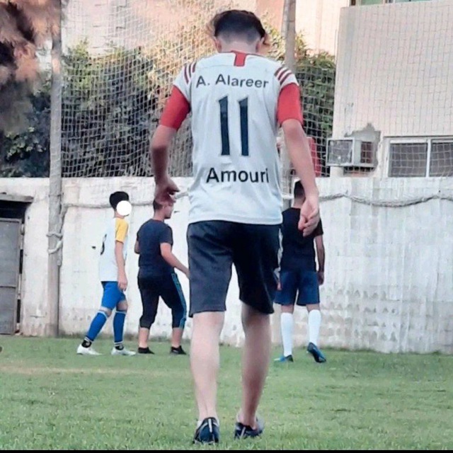 Amer alareer