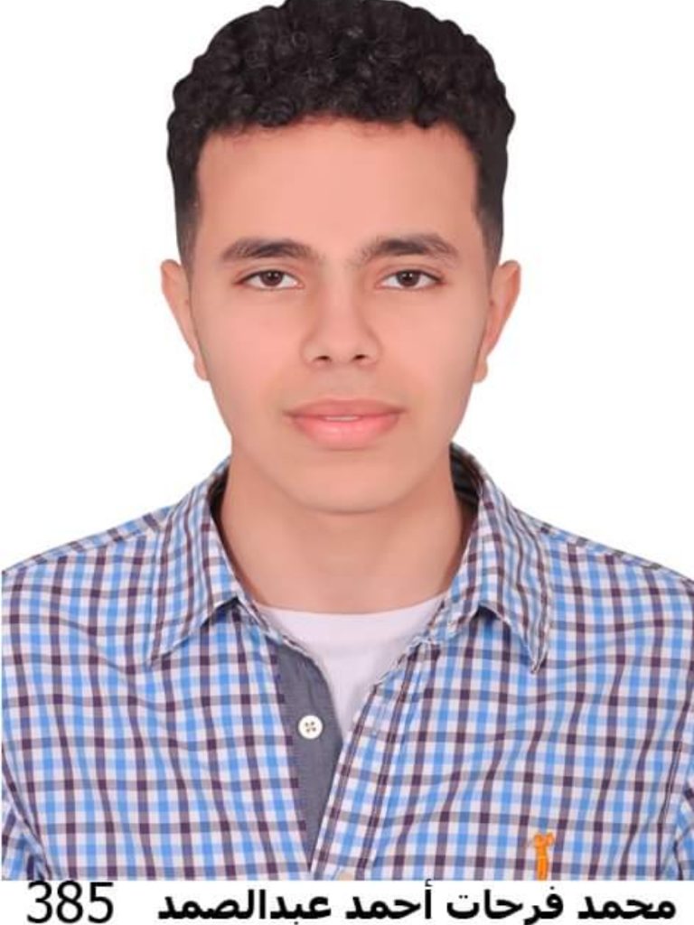 Mohamed Frhat Abdelsamad