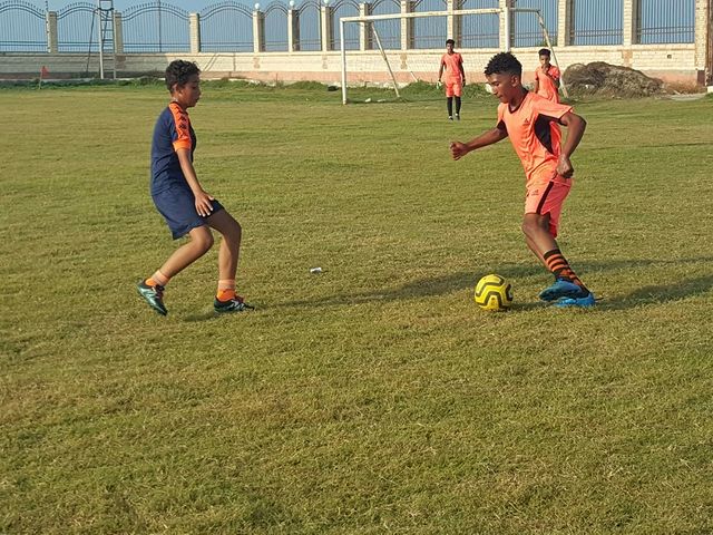 Ahmed ashraf mohamed hamed