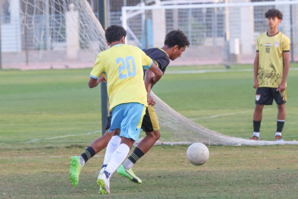Ahmed ashraf mohamed hamed