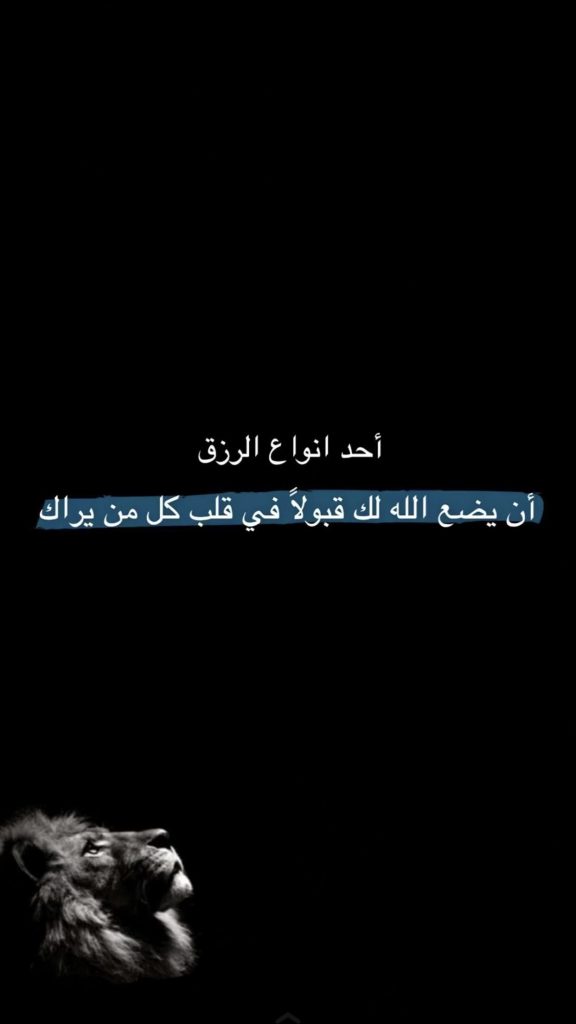 Youssef Ashraf