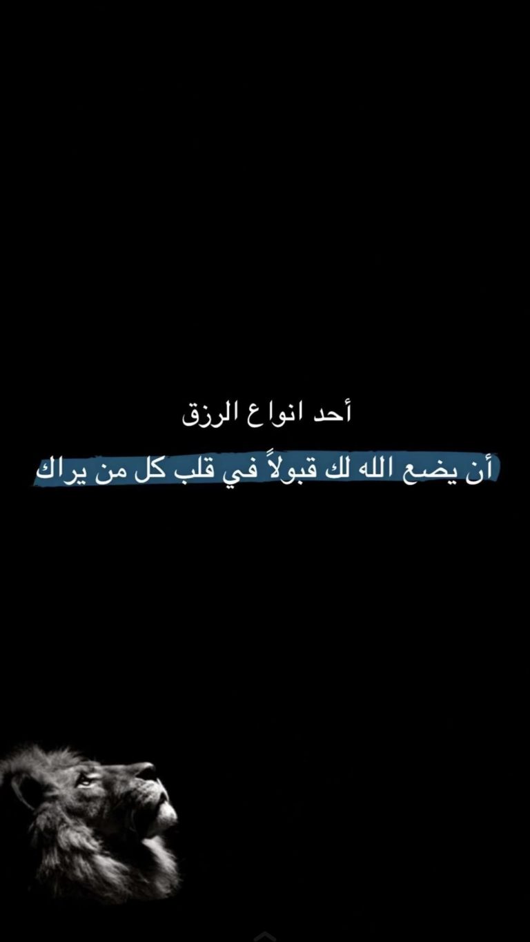 Youssef Ashraf